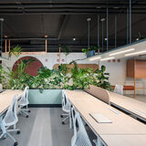 Pistorasia, Kompakt S