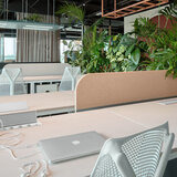 Pistorasia, Kompakt S