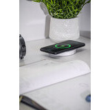 Pistorasiapilari Camino