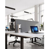 Pistorasiapilari Camino