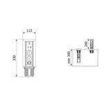 Pistorasiapilari Camino